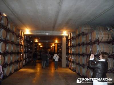 Enología en Rioja - Senderismo Camino de Santiago - Bodegas Bilbainas; senderismo en cordoba